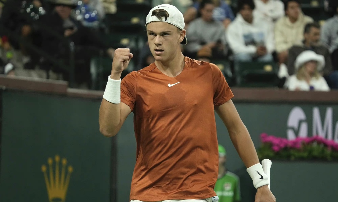 而不仅仅是 而不仅仅是