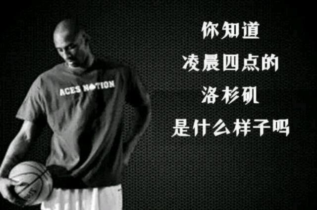 合同条款与